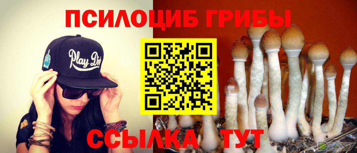 Псилоцибиновые грибы MAGIC MUSHROOMS Сергиев Посад