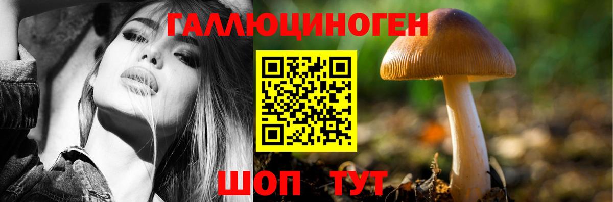 Сергиев Посад  хочу   Вход с VPN  Псилоцибиновые грибы мухоморы  Галлюциногенные грибы MAGIC MUSHROOMS 